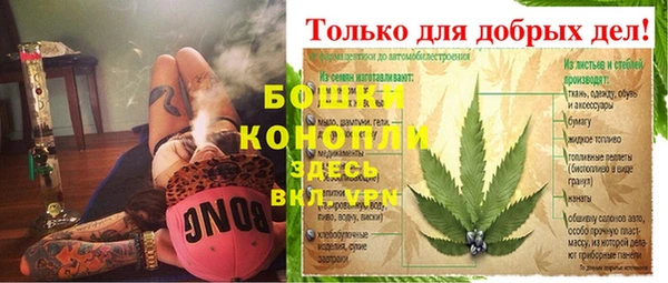 сатива Алексеевка